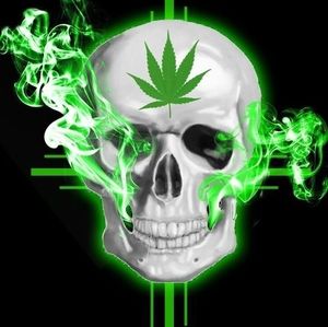 Meet your Posher, Mickey